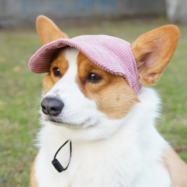 Gorra ajustable para perros