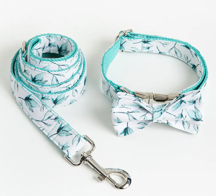 Collar y correa Hojas