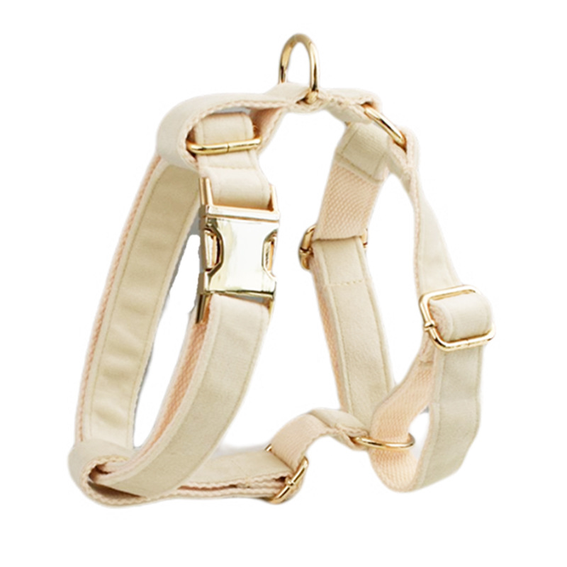 Collar y accesorios de terciopelo