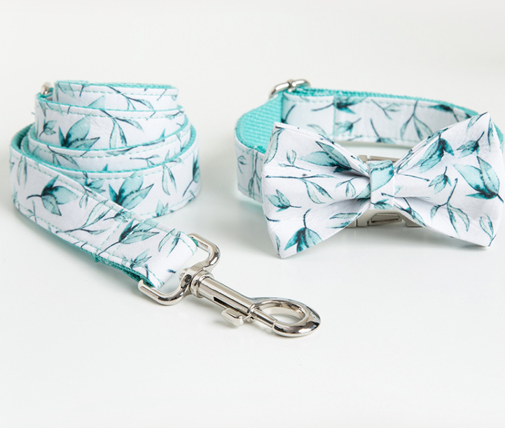 Collar y correa Hojas