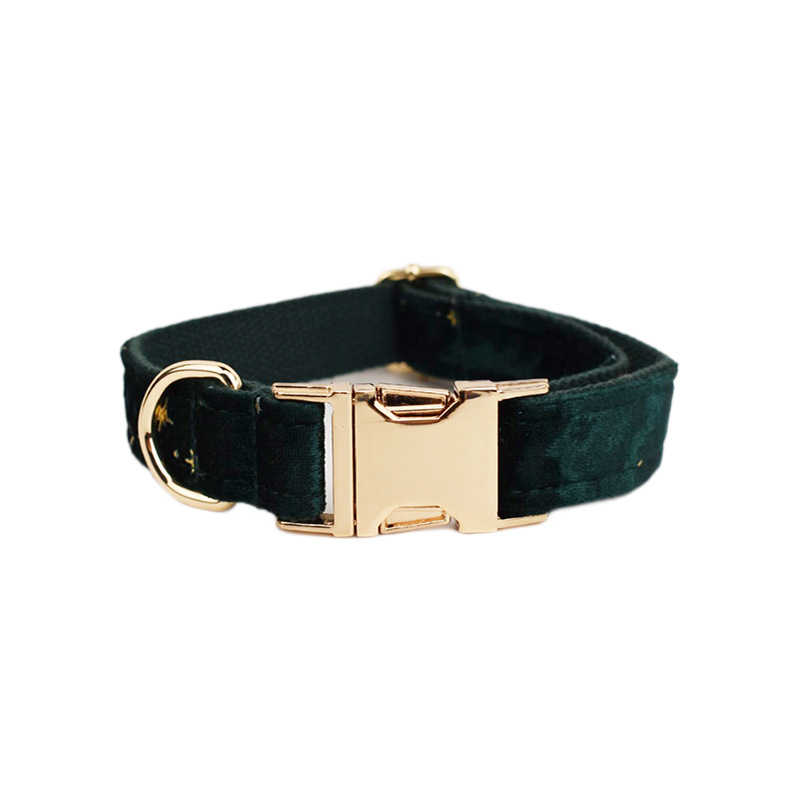 Collar y accesorios de terciopelo