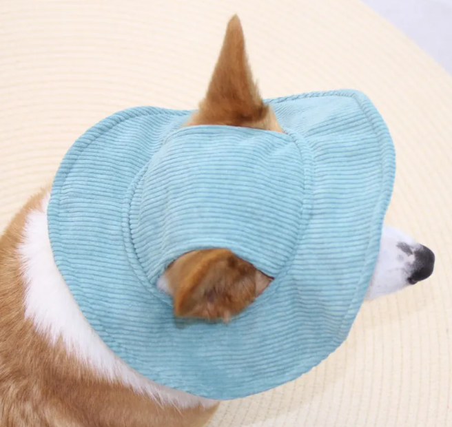 Gorra ajustable para perros