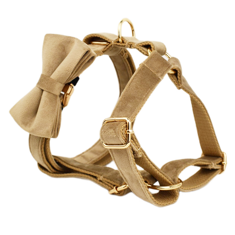 Collar y accesorios de terciopelo