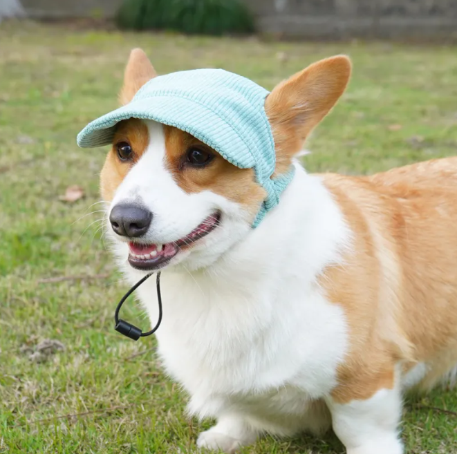 Gorra ajustable para perros