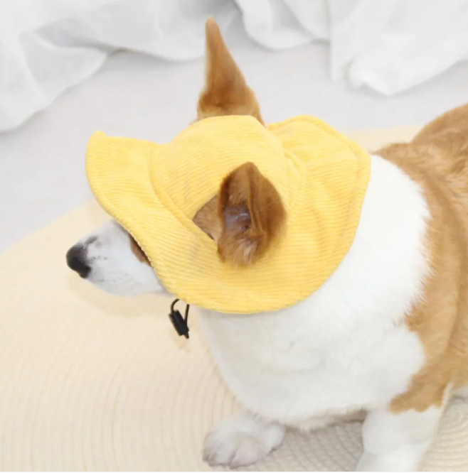 Gorra ajustable para perros